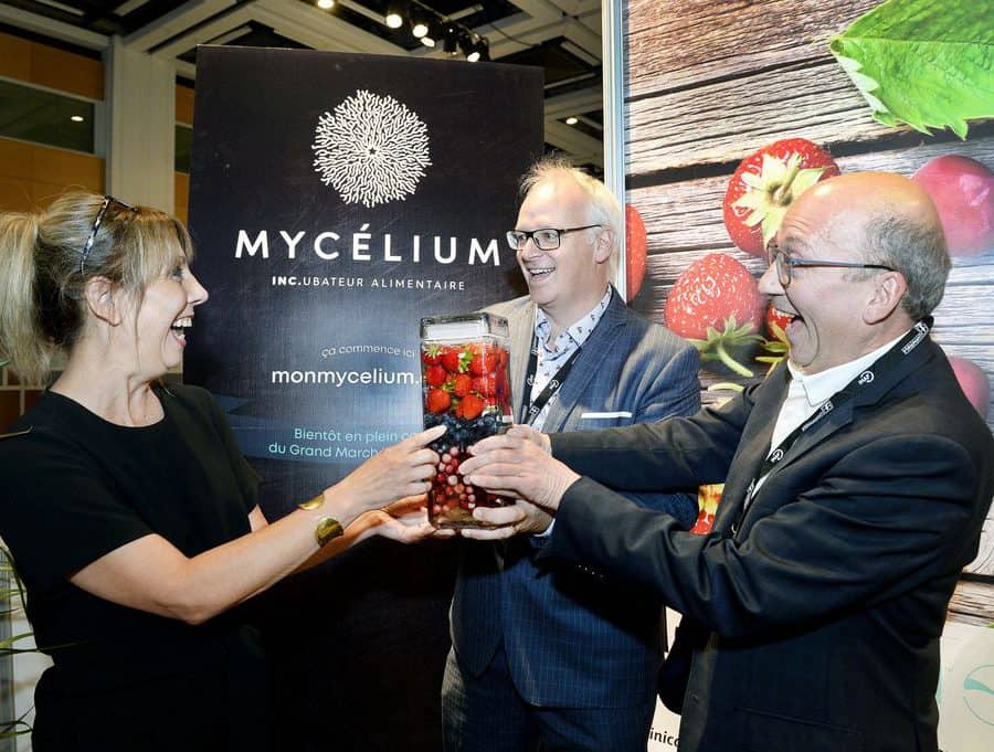 Mycelium au cœur de l’innovation alimentaire